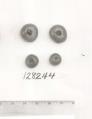 Click for 1 image(s) for this accession. FRUIT